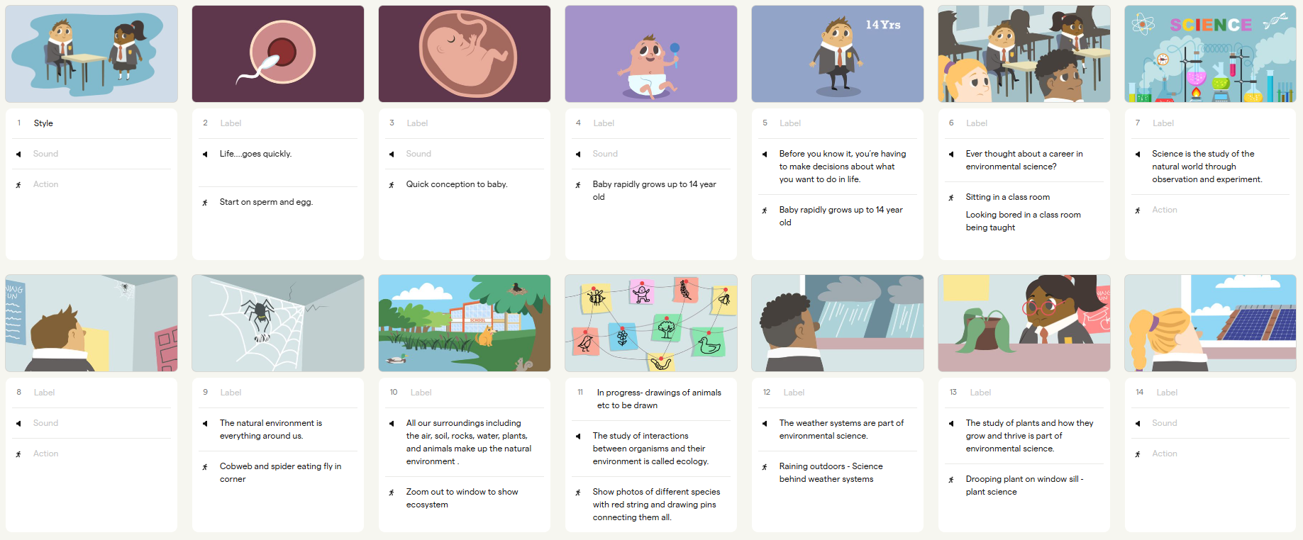 Illustrated storyboard