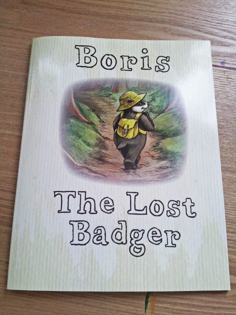 Boris the Lost Badger, illustrated by Mair Perkins