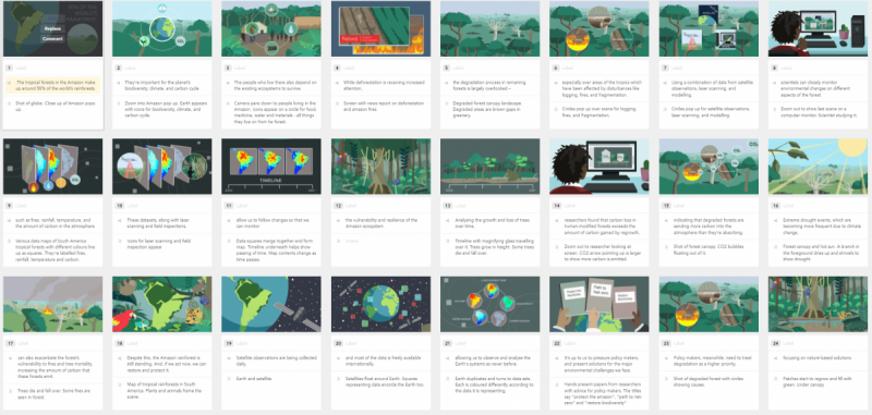 Illustrated storyboard - Carbon Dynamics in Tropical Rainforests