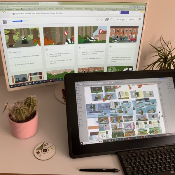 Derbyshire Wildlife Trust Animation illustration production
