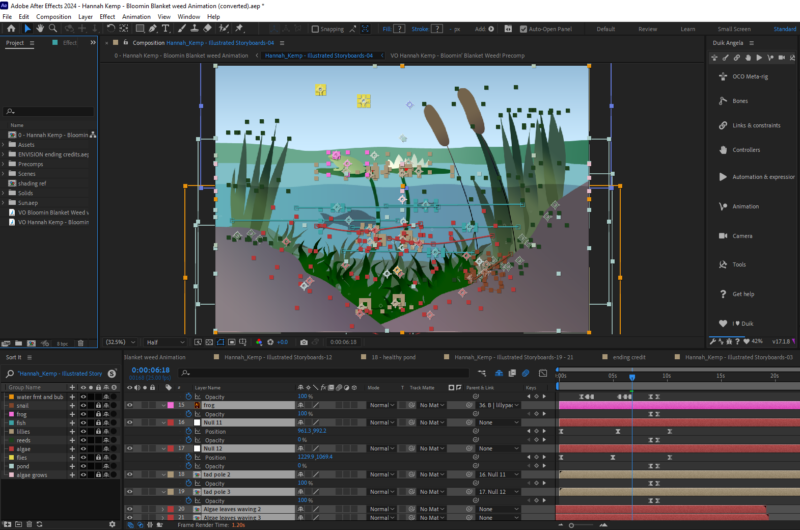 Screenshot of animation in After Effects. 