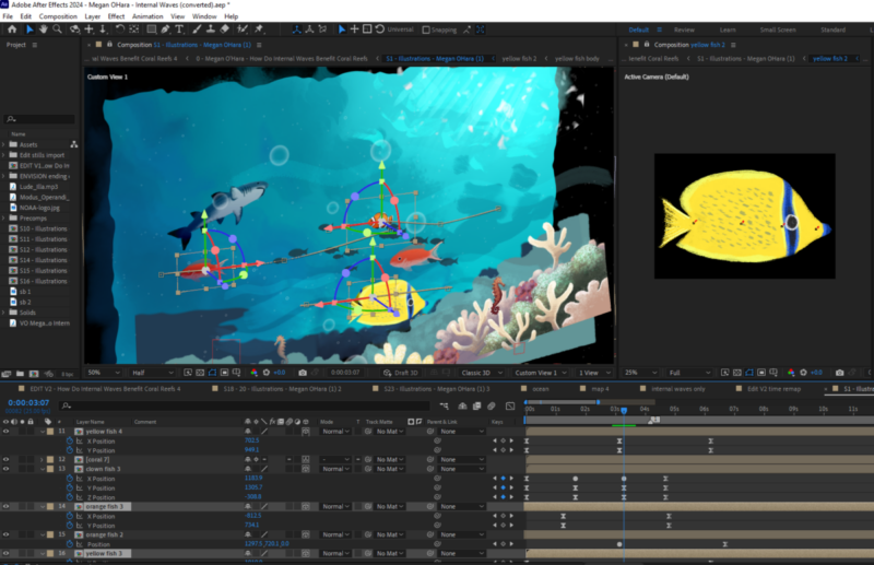 Coral Reef After Effects animation