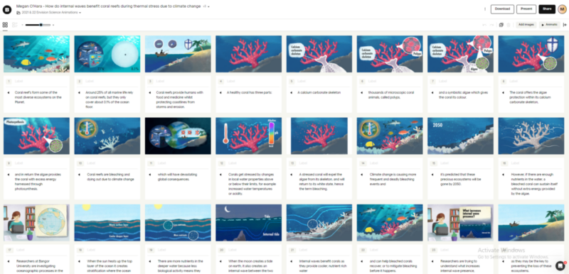 Illustrated storyboards - How do internal waves benefit coral reefs during thermal stress due to climate