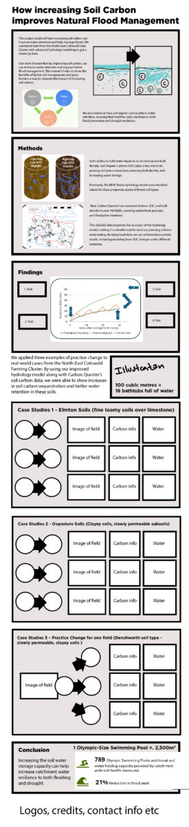 Stage 1: Draft infographic